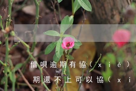 借唄逾期有協(xié)商的可能嗎(借唄到期還不上可以協(xié)商嗎)