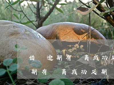 借唄逾期有協商成功延期還款的嗎-借唄逾期有協商成功延期還款的嗎怎么辦