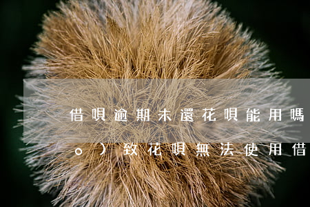 借唄逾期未還花唄能用嗎(借唄逾期導(dǎo)致花唄無法使用 借唄還清了花唄可以用嗎)