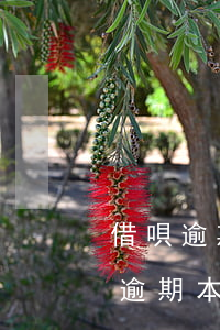 借唄逾期本地第三方上門可以拒絕嗎-借唄逾期本地第三方上門可以拒絕嗎安全嗎