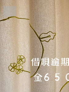 借唄逾期本金6500多久起訴(借唄逾期本金6500多久起訴)