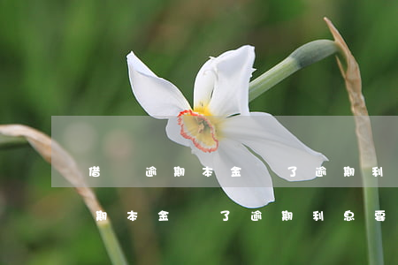 借唄逾期本金還了逾期利息要還嗎-借唄逾期本金還了逾期利息要還嗎怎么辦