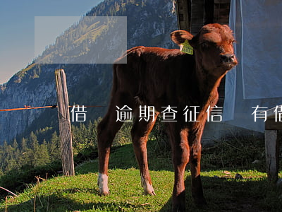 借唄逾期 查征信沒有 借唄逾期 查征信沒有