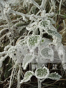 借唄逾期欠款金額10萬會起訴嗎-借唄逾期欠款金額10萬會起訴嗎知乎