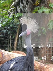 借唄逾期每個(gè)月還2000行不行-借唄逾期每個(gè)月還2000行不行呀
