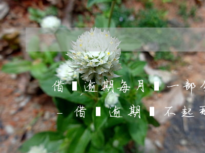 借唄逾期每月還一部分會(huì)怎么樣-借唄逾期還不起那么多一月還一點(diǎn)會(huì)不會(huì)報(bào)警抓我