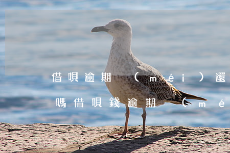 借唄逾期沒(méi)還會(huì)起訴嗎 借唄錢逾期沒(méi)還會(huì)有什么后果