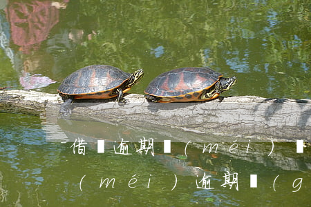 借唄逾期沒(méi)還有什么影響(借唄沒(méi)逾期過(guò)現(xiàn)在只能還不能借)