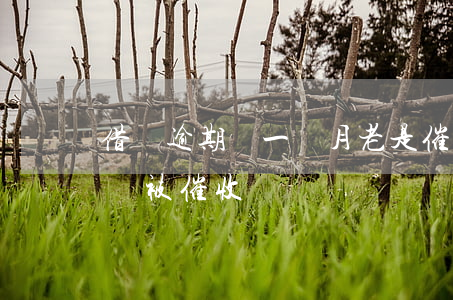 借唄逾期沒一個月老是催收(借唄逾期兩個月沒被催收)