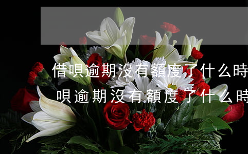 借唄逾期沒有額度了,什么時候可以恢復-借唄逾期沒有額度了,什么時候可以恢復正常