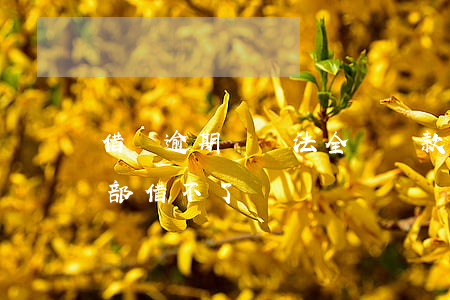 借唄逾期沒辦法全額還款(借唄沒逾期突然全部借不了)