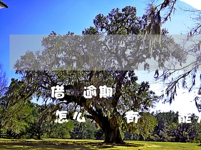 借唄逾期沒還會(huì)判刑嗎(借唄逾期怎么辦 沒有償還能力了會(huì)坐牢嗎)