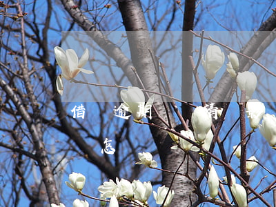 借唄逾期沒還清會影響入職(借唄到期沒還上會怎樣)