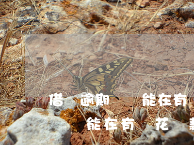 借唄逾期沒還能在有錢花貸款嗎-借唄逾期沒還能在有錢花貸款嗎知乎
