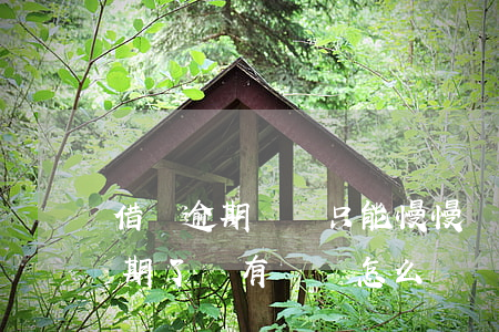 借唄逾期沒錢只能慢慢還了(支付寶借唄快逾期了沒有錢還怎么辦?)