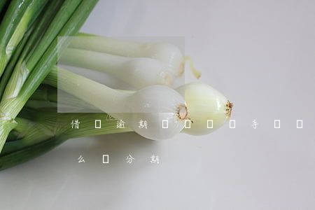 借唄逾期沒錢還換手機號(借唄到期還不上怎么辦分期)