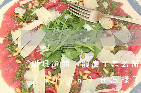 借唄逾期沒額度了怎么辦(借唄有逾期的嗎?現(xiàn)在怎樣了)