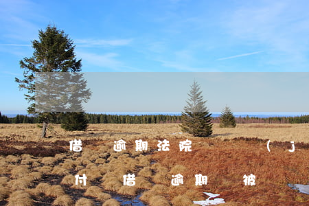 借唄逾期法院會凍結(jié)銀行卡嗎(支付寶借唄逾期會被凍結(jié)銀行卡嗎)