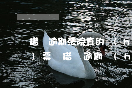借唄逾期法院真的會(huì)傳發(fā)票嗎(借唄逾期會(huì)上法院)