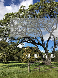 借唄逾期法院立案(借唄逾期法院立案)