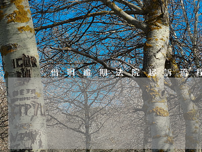借唄逾期法院起訴流程 借唄逾期法院訴訟