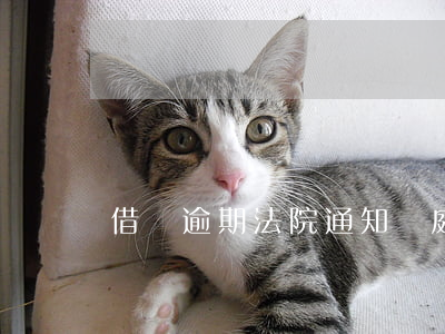 借唄逾期法院通知開庭