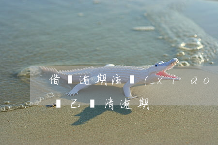 借唄逾期注銷(xiāo)支付寶(支付寶借唄已還清逾期)