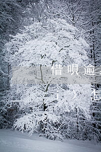 借唄逾期淘寶月卡續(xù)不上費(fèi)怎么辦-借唄逾期淘寶月卡續(xù)不上費(fèi)怎么辦呢