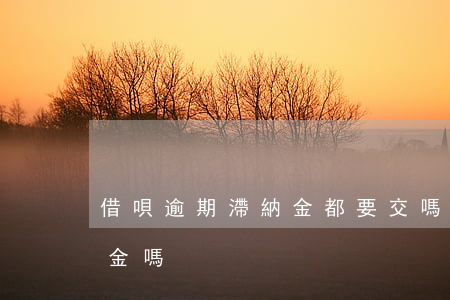 借唄逾期滯納金都要交嗎(貸款逾期要交滯納金嗎)