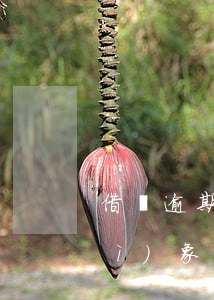 借唄逾期為什么會(huì)給我對(duì)象發(fā)短信-借唄逾期為什么會(huì)給我對(duì)象發(fā)短信呢
