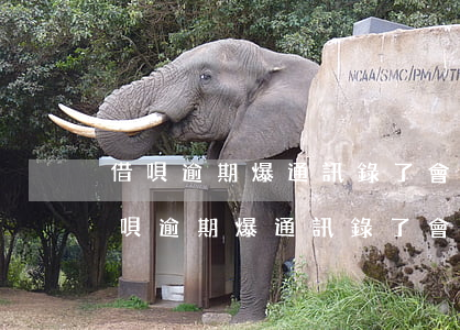 借唄逾期爆通訊錄了會天天打聯系人么?-借唄逾期爆通訊錄了會天天打聯系人么嗎