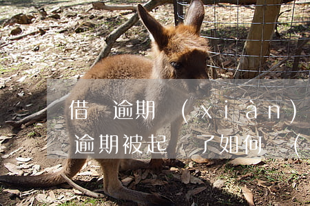 借唄逾期現(xiàn)在在法院配合(借唄逾期被起訴了,如何協(xié)商)