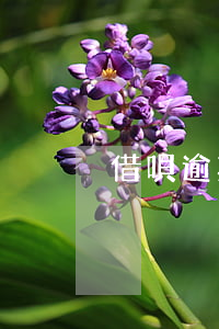 借唄逾期異地起訴-借唄逾期法院訴訟