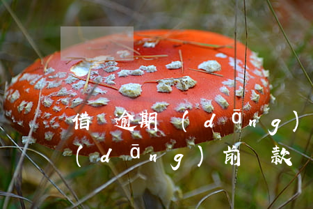 借唄逾期 當(dāng)前貸款(借唄逾期 當(dāng)前貸款)