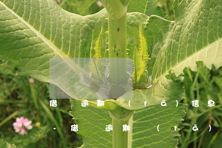 借唄逾期發(fā)信息給家人是不是違法-借唄逾期發(fā)信息給家人是不是違法了