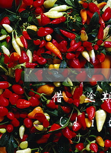 借唄逾期發(fā)信息進(jìn)入調(diào)查取證階段-借唄逾期發(fā)信息進(jìn)入調(diào)查取證階段是真的嗎