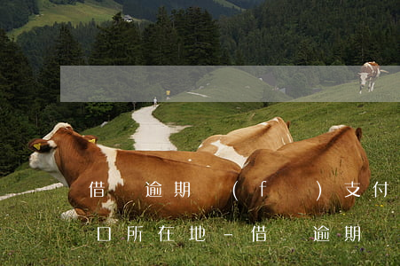借唄逾期發(fā)支付令發(fā)到戶口所在地-借唄逾期發(fā)支付令發(fā)到戶口所在地是真的嗎