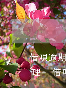 借唄逾期發(fā)短信讓我48小時內處理-借唄逾期發(fā)短信讓我48小時內處理是真的嗎