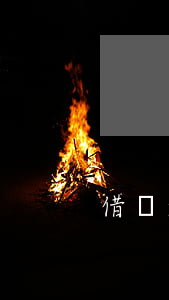 借唄逾期的合適理由(借唄逾期該怎么辦)