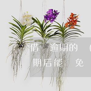 借唄逾期的費(fèi)用能減免嗎(借唄逾期后能減免罰息嗎)