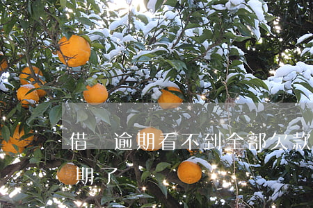 借唄逾期看不到全部欠款(怎么看自己借唄逾期了)