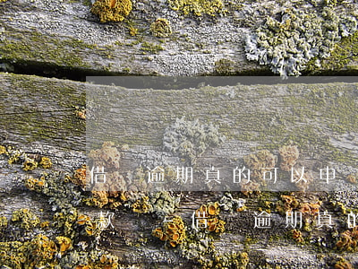借唄逾期真的可以申請(qǐng)延期還款嗎?-借唄逾期真的可以申請(qǐng)延期還款嗎知乎