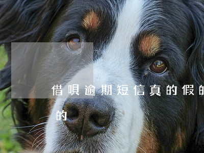 借唄逾期短信真的假的（借唄逾期短信真的假的）