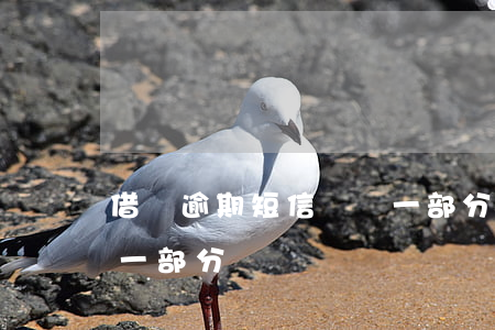 借唄逾期短信讓還一部分(借唄逾期能否先還一部分)