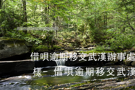 借唄逾期移交武漢辦事處會(huì)怎么樣-借唄逾期移交武漢辦事處會(huì)怎么樣嗎