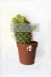 借唄逾期 移交法院