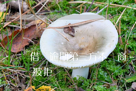 借唄逾期第三方不協商-借唄即將逾期協商被拒絕