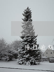 借唄逾期第三方催款要不要接電話