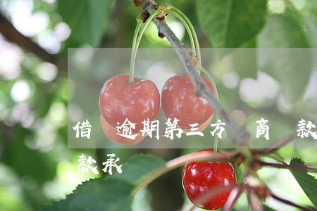 借唄逾期第三方協商還款(借唄第三方協商還款承認嗎)