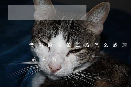 借唄逾期第三方怎么處理(借唄逾期多久交給第三方)